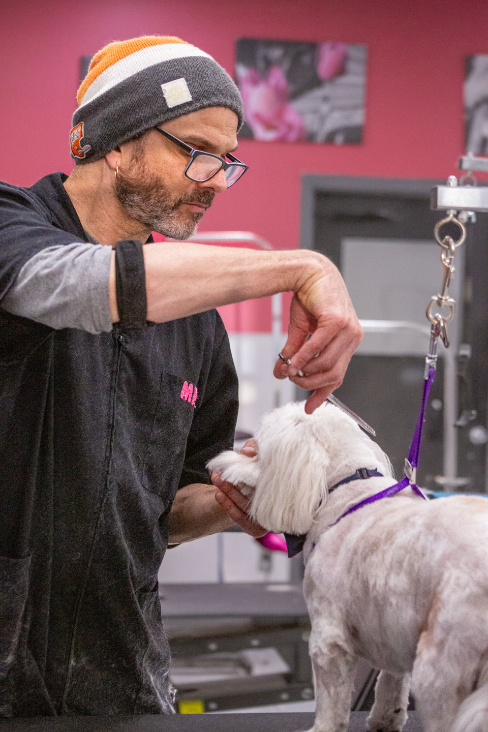 Jarrett-B-Modern-Pet-Salon-Grooming-School