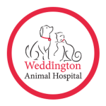 logo_weddington-animal-hospital-Modern Pet Salon